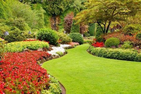 All About Professional Turf Management: How To Keep Your Lawn Pristine