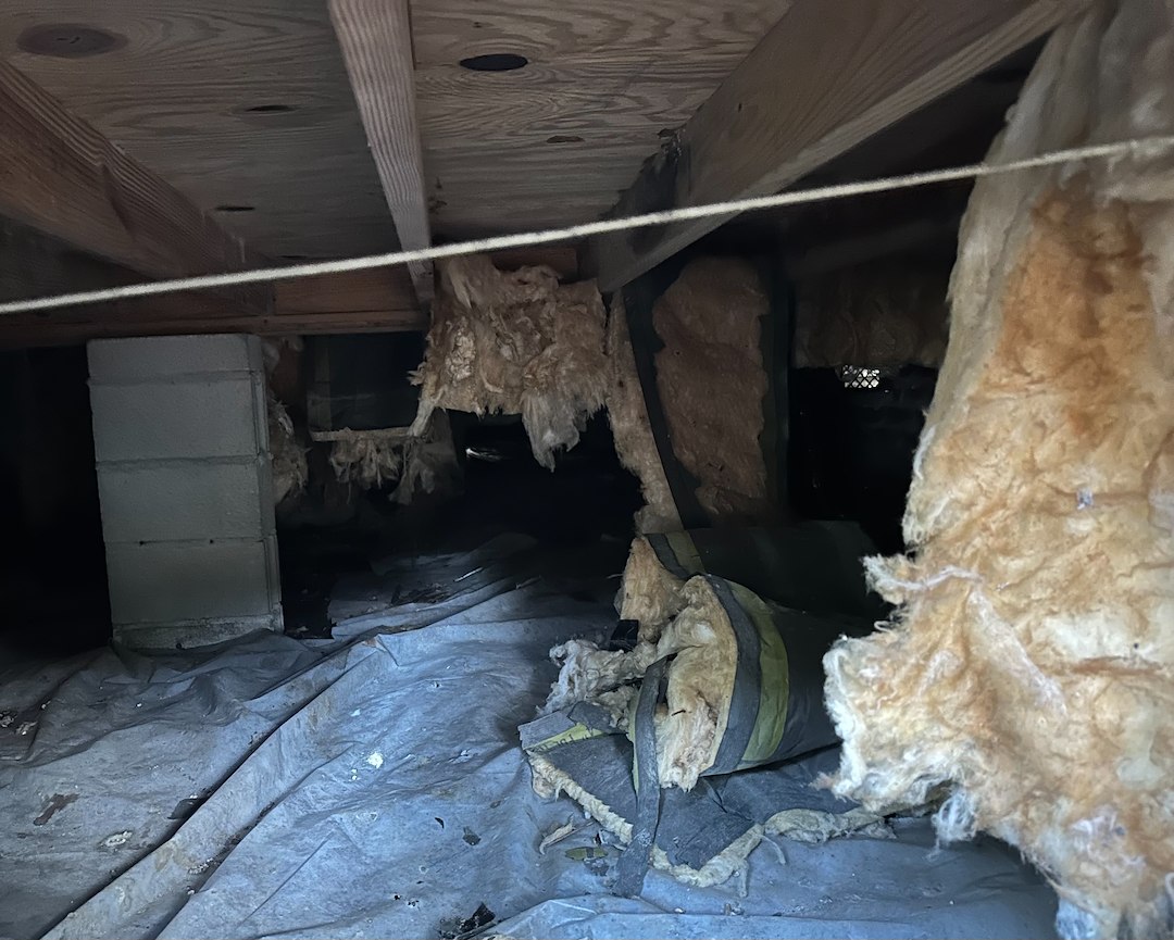 Crawlspace Transformation in Summerville, SC: A Shield Pest Solutions Success Story