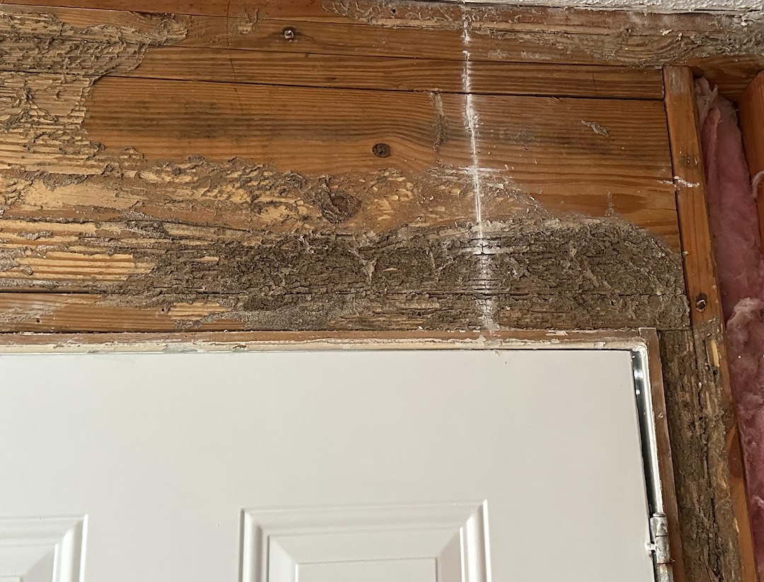 Termite Treatment In Mount Pleasant 